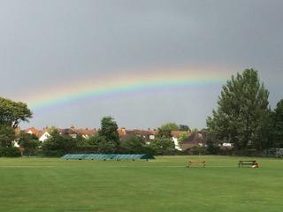 Spreading SBCC Rainbows for Cricket